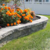 Nicolock Colonial Cap Stone - Image 2
