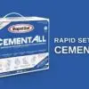 CTS Rapid Set Cement All Multi-Purpose Construction Material & Non-Shrink Grout - Image 2